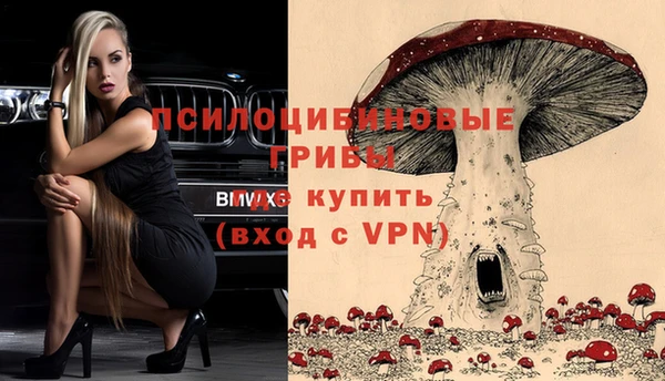 мяу мяу мука Арсеньев
