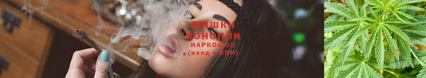 мяу мяу мука Арсеньев