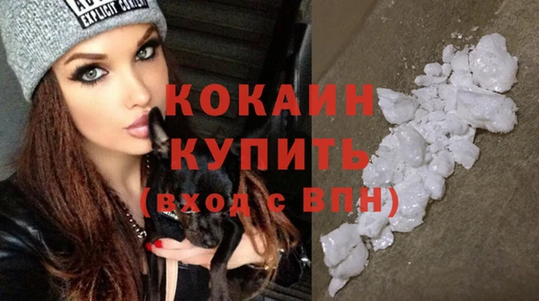 мяу мяу мука Арсеньев