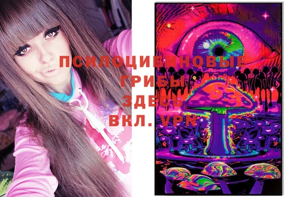 мяу мяу мука Арсеньев