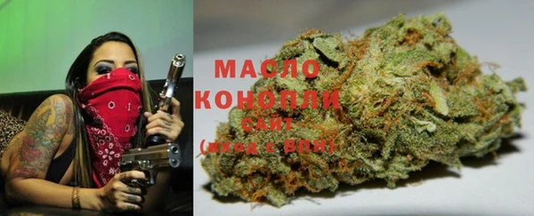мяу мяу мука Арсеньев