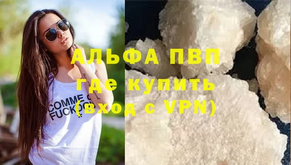 прущие грибы Переславль-Залесский