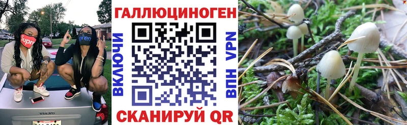 Галлюциногенные грибы Cubensis  купить   Полярный 
