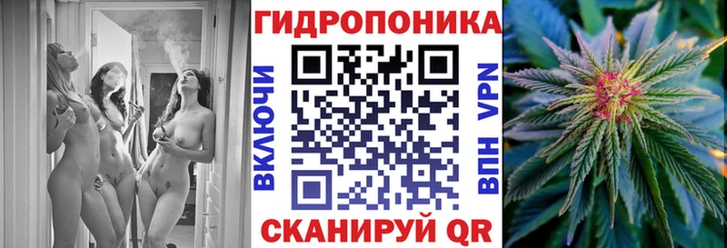 Шишки марихуана конопля  Полярный 